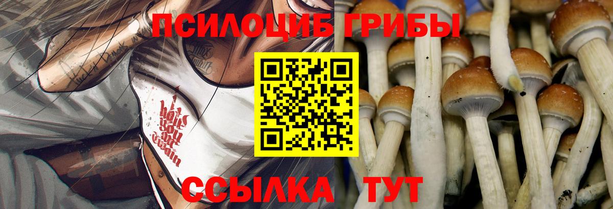 Псилоцибиновые грибы Magic Shrooms Кушва